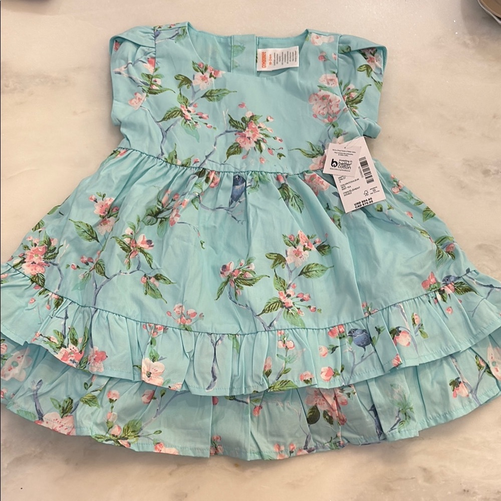 Gymboree Floral Aqua Ruffle Dress with Diaper cover